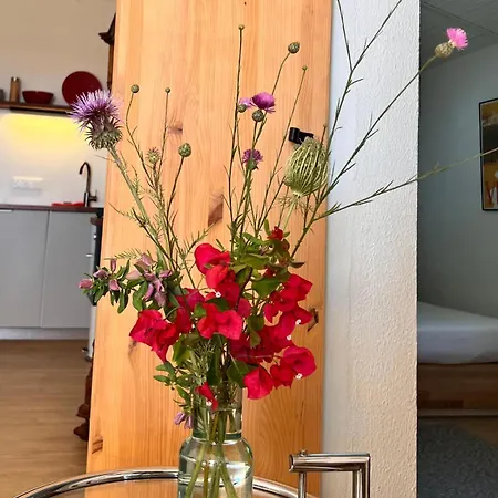 Appartement Arriba Stijlvol Met Zwembad En Tuin Conil De La Frontera