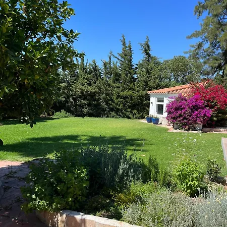 Arriba Stijlvol Met Zwembad En Tuin Apartment Conil De La Frontera